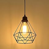 Vintage Pendelleuchte Hängelampe Käfig Hängende Lampe, E27 Lampen fassungstyp, Retro Lampenschirm Licht für Küche,Stab,Wohnzimmer